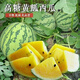 雜交高糖薄皮黃心西瓜超甜早熟黃瓤特小禮品型西瓜四季播 【黃金 高糖黃瓤原裝00.2粒