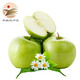 靜益樂(lè )源青蘋(píng)果 酸甜蘋(píng)果 陜西禮泉青皮蘋(píng)果 凈重8.5斤-9斤果徑65-75mm