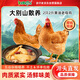 BOZAIJIA波仔家大別山散養(yǎng)黃油老母雞 4斤共2只 慢養(yǎng)400天土雞 源頭直發(fā)