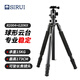 思銳（SIRUI）三腳架 R2004+G20KX 含云臺(tái)佳能尼康單反相機(jī)三角架鋁合金 單反相機(jī)三腳架 專業(yè)穩(wěn)定 微單通用