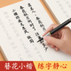 金枝葉簪花小楷臨摹字帖成人靜心軟筆書法初學(xué)者入門套裝練字帖鋼筆式毛筆練字專用毛筆字楷書蘭亭集序練習(xí)紙 【全套5款】唐詩+宋詞+詩經(jīng)+納蘭詞+蘭亭序