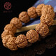 今夕尼泊爾大金剛菩提手串精品六瓣雙龍矮樁收藏級文玩念佛珠男士24mm