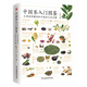 中國茶入門(mén)圖鑒：從喝茶到懂茶的中國茶文化手冊