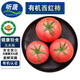 聽(tīng)蔬有機西紅柿 酸甜美味 沙瓤粉番茄/普羅旺斯 新鮮無(wú)農殘健康輕食 2斤