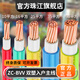 珠江電力珠江電線ZC-BVV家裝工程入戶主線雙層皮塑阻燃10/16/25/35/50平方 10平方（國標(biāo)足芯） 紅色1米（要幾米拍幾個，整條）