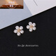 VAN CRUDE ANNORA日韓小香風(fēng)小雛菊胸針女胸針?lè )雷吖庑】圩右r衣領(lǐng)針披肩扣飾品 珍珠小花2個(gè)裝