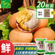 龍鳳活珠活珠子40g*20枚 五香味 毛蛋雞蛋13天新鮮雞胚鋼化蛋開(kāi)袋即食熟食