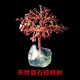 天然水晶螢-石孔雀石榴石礦石原石招財樹(shù)客廳擺件家居飾品簡(jiǎn)約 石榴石葉