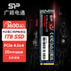 廣穎電通UD85 500固態(tài)硬盤(pán) m.2280固態(tài)硬盤(pán)1tb  pcie4.0x4 NVMe協(xié)議 一體機臺式機筆記本電腦硬盤(pán)1T 全新 UD85 m2 PCIe4.0SSD容量1T