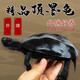 錢(qián)隆寵（QLPETS）墨龜活體 寵物烏龜全墨墨龜觀(guān)賞龜頂墨龜中華草龜寵物黑腹墨龜 3-4厘米(頂墨苗) 單只公