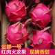 憶京源海南紅心火龍果 金都一號紅肉蜜寶火龍果新鮮水果孕婦時(shí)令生鮮 5斤精選特大果【約3-5個(gè)】