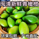 新鮮閩清青橄欖福州閩侯生吃橄欖回甘煲燉湯青果福建水果現摘現發(fā) 1斤閩清新鮮青橄欖