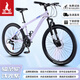鳳凰山地自行車內(nèi)走線品牌變速青少年男女競(jìng)賽車自行車成人 坦途510 鋼架輻條輪-淺光紫 26寸【適合155-185cm】 24速