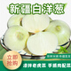 新疆特產(chǎn)美食白皮牙子洋蔥芽子新鮮云南小水果蔬菜甜味可生吃不辣 新疆白皮牙子3斤