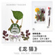 思藝彩 干花壓花樹葉植物標(biāo)本DIY流蘇書簽幼兒園親子手工貼畫滴膠樹葉畫 DIY樹葉畫 龍貓
