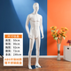 古達 全身模特道具男假人體塑料仿真模型西服裝店櫥窗拍攝衣服展示架 亮白色【發(fā)型頭】