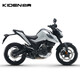 啟典（KIDEN）2023新款 KD200-U公路版鋁輪(國IV)摩托車(chē)（付款后30天內發(fā)貨） 啞光銀