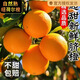 江昊陽重慶奉節(jié)臍橙紐荷爾臍橙當季新鮮應季橙子甜橙皮薄多汁產(chǎn)地直發(fā) 【實惠小果】60-65mm 帶箱5斤(凈重4.5斤)