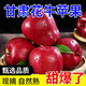 精品花牛蘋果新鮮水果應(yīng)季粉面蛇果脆甜可口現(xiàn)摘 帶箱5-6斤大果(特級)