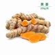 贛馨園 新鮮黃姜 姜黃250g*2新鮮 泰式黃姜 冬陰功湯調料 姜黃咖喱姜月子姜