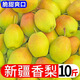 新疆庫爾勒正宗香梨新鮮整箱  薄皮 多汁 脆甜5、6、9斤梨子整箱 帶箱5斤小果