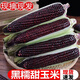 顧果鮮新鮮黑糯玉米9斤現(xiàn)摘黑珍珠玉米帶皮生苞米甜糯代餐棒子農(nóng)家自種 9斤