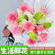 鐘愛(ài)云南昆明基地直發(fā)鮮切花家庭水養插花花束生活鮮花玫瑰康乃馨 隨機20支康乃馨+隨機顏色百合5朵