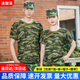 迪伽洛軍訓(xùn)服迷彩服裝全套初高中大學(xué)生夏季軍訓(xùn)服短袖套裝外套訓(xùn)練服 草綠【優(yōu)質(zhì)T恤+長褲+帽+腰】 175  (適合身高170-175CM）