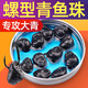 老韓青魚(yú)螺型珠珠餌黑坑青魚(yú)大物顆粒緩沉浮水釣魚(yú)青魚(yú)軟餌藍莓珠珠餌 螺型珠珠藍莓味16mm