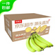 京鮮生云南甜香蕉3斤裝單果120g+ 香糯嫩滑 源頭直發(fā)包郵