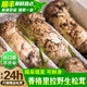 土地母親計(jì)劃 【現(xiàn)貨】香格里拉新鮮松茸菌菇營養(yǎng)菌湯煲湯未開傘松茸 團(tuán)購禮盒 精選未開傘5-6cm 500g