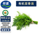 聽蔬有機茴香菜苗 新鮮采摘 有機認證無農(nóng)殘食材匯 全程追溯 250g