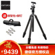 捷信（GITZO） GK2545T-82QD 旅行者2號碳纖維4節單反相機反折便攜三腳架云臺套裝