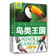 我的第一套百科全書(shū)：鳥(niǎo)類(lèi)王國（16開(kāi)四色平裝 彩圖注音版） 