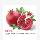 創(chuàng  )森農業(yè) 石榴樹(shù)苗盆栽果樹(shù)四季種植嫁接特大石榴果樹(shù)苗耐寒耐熱 臨潼石榴樹(shù)苗全國室內外可種植 八年大苗/根莖3厘米粗/80cm-1米高