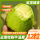云南孟連國產(chǎn)牛油果應當季哈斯鱷梨大果無(wú)黑絲細膩醇香健康輕食 12粒巨無(wú)霸【單果190-240g】