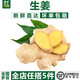 千牛優(yōu)福生姜500g 新鮮生姜現挖農家老姜黃生姜沙姜