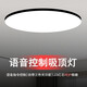 艾米邇智能語(yǔ)音吸頂燈led燈臥室吸頂燈超薄護(hù)眼聲控?zé)舾袘?yīng)燈廚房吸頂燈 語(yǔ)音控制款-三色光-37CM