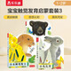 亮麗精美觸摸書-小兔比利/小熊波比/小水獺奧斯卡（套裝3冊）0-2歲幼兒啟蒙仿真觸感觸摸書低幼認(rèn)知繪本可點(diǎn)讀   省錢卡