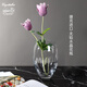 BOHEMIA Crystal捷克進(jìn)口輕奢高檔無鉛水晶花瓶原裝進(jìn)口透明玻璃插花瓶桌面擺件 透明水晶·82506花瓶