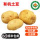 【順豐】有機土豆 黃心馬鈴薯沙面 無農(nóng)殘新鮮有機蔬菜 3斤【送2斤 實發(fā)5斤】