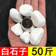 裕漫天50斤白色石子石頭大鵝卵石庭院鋪路鋪地小白石花園造景景觀白石子 50斤 雪花白石子2~3cm