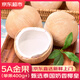 裕農(nóng)叔泰國(guó)牛奶椰皇【JD速發(fā)】椰子進(jìn)口水果孕婦椰汁水蛋熱帶當(dāng)季生鮮 6粒裝（80%選擇-超劃算） 商超級(jí)大果400-600g