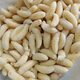 2025野生馬蜂蛹，虎頭蜂蛹1-2級樹(shù)蜂蛹.土蜂蛹 1級精品虎頭蜂大白蛹（新蛹) 500克
