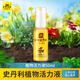 史丹利植物活力素通用型生長(cháng)花卉綠植多肉發(fā)財樹(shù)濃縮營(yíng)養液花肥料50ml