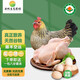 云楓土雞云南有機山林深山放養(yǎng)有機純糧喂養(yǎng)土雞 土雞塊燉湯紅燒干蒸煲湯 整雞土雞秋季滋補 2只300日齡土雞+30枚土雞蛋