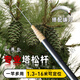 旭杉斯PWS碳素核桃桿檳榔松子松塔打樹(shù)塔打塔專(zhuān)用伸縮桿神器89米15米桿 專(zhuān)用加厚款10米隨意敲打
