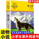 狼王夢(mèng)正版動(dòng)物小說(shuō)大王沈石溪品藏書(shū)系全集全本完整版青少年版小學(xué)生四五年級必課外書(shū)上冊閱讀書(shū)籍浙江少年兒童出版社 狼王夢(mèng) 社 狼王夢(mèng)
