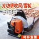 邁越（MAIYUE） 背負(fù)大功率汽油吹風(fēng)機風(fēng)力滅火大棚吹雪工業(yè)公鐵路庭院砂石落葉 二沖程EB865進(jìn)口豪華款
