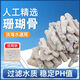 精品長枝魚缸濾材過濾材料珊瑚沙魚池養(yǎng)魚底砂珊瑚石水族箱造景 優(yōu)選珊瑚骨 5斤 【5厘米以上】+網(wǎng)袋